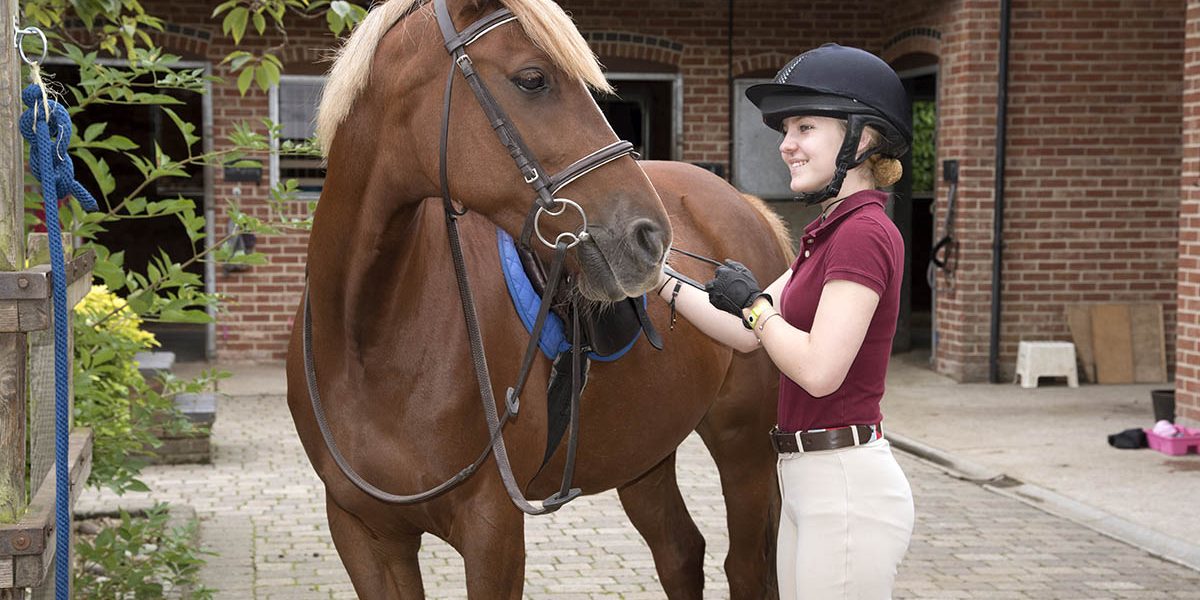 Equine Apprenticeships - Course Options - Grooms of the Future Part 2
