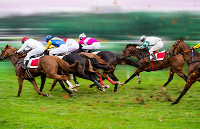 Equine Apprenticeships - Course Options - Horse Racing Apprentices