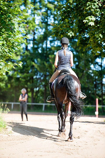 Equine Apprenticeships - Course Options - Riding Apprentices