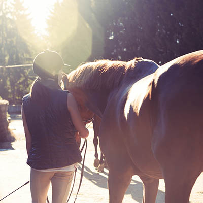 Equine Apprenticeships - Course Options - Traineeships for complete beginners