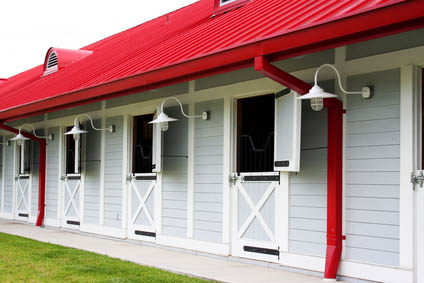 What are Dressage Grooms and Dressage Groom Jobs - dressage yard