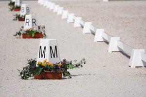 What are Dressage Grooms and Dressage Groom Jobs - grooming at dressage competitions