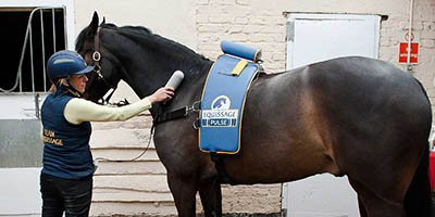 What are Dressage Grooms and Dressage Groom Jobs - specialist equipment