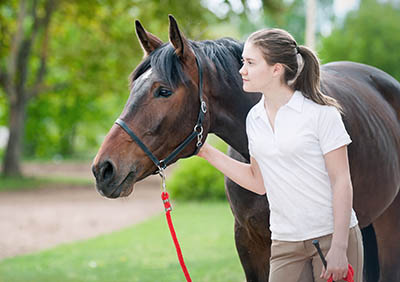Apprentice Grooms Directory - The Grooms List by Caroline Carter Recruitment