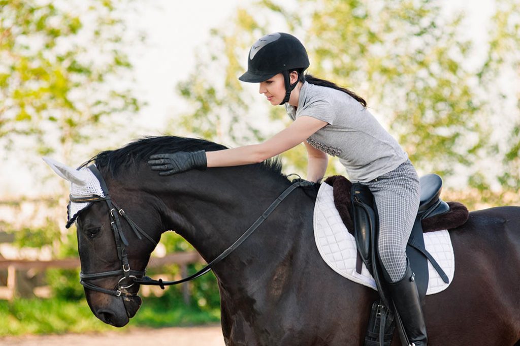 Become a Professional Rider - The Grooms List