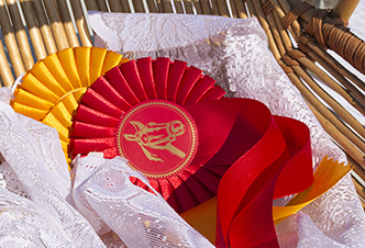 Become a Professional Rider - a proven track record