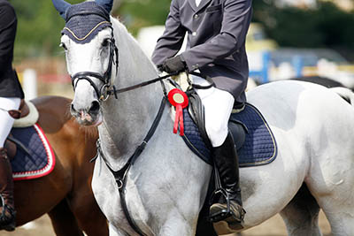 Become a Professional Rider - success