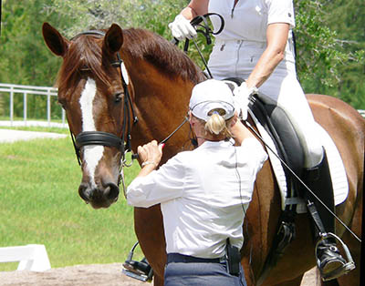 Become a Professional Rider - take criticism and instruction