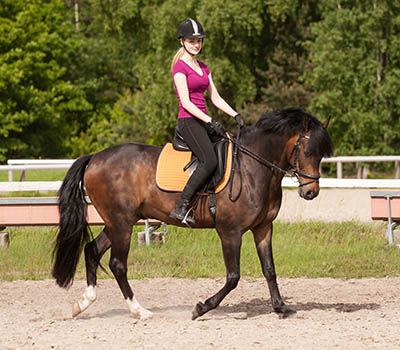 Become a Professional Rider - take criticism and instruction