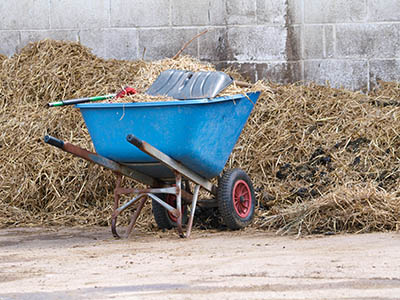 Become a Professional Rider - you haven't escaped yard duties yet!