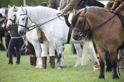County Shows explained - be well prepared