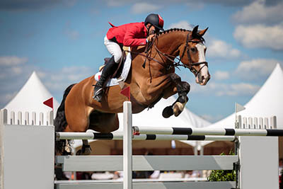 County Shows explained - equine classes