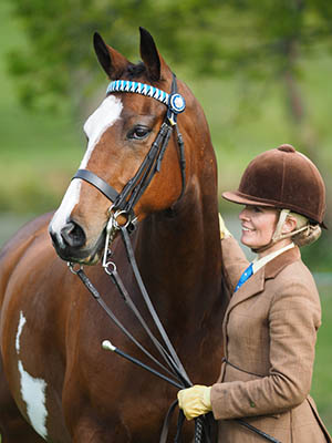 County Shows explained - patient ponies