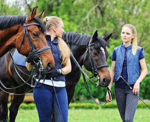 A Sneak Peak at an equine Employers Wish List - Communication