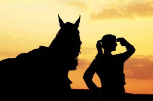 A Sneak Peak at an equine Employers Wish List - Job Longevity
