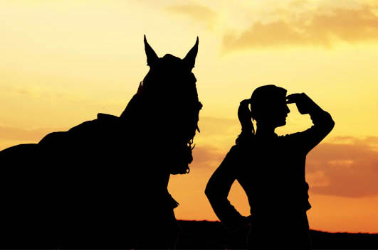 A Sneak Peak at an equine Employers Wish List - Job Longevity