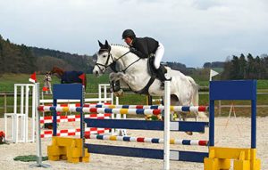 A Sneak Peak at an equine Employers Wish List - Relevant Experience
