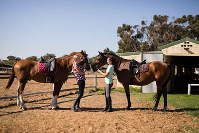 A Sneak Peak at an equine Grooms Wish List - A Positive Work Environment