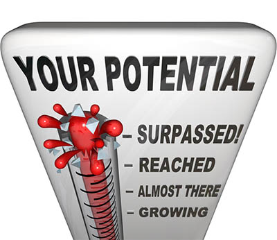 A Sneak Peek at an equine Grooms Wish List - Career Growth