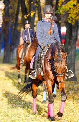 A Sneak Peek at an equine Grooms Wish List - Perks of the job
