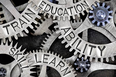 Equine Apprenticeship Myths - BUSTED! Education and skills