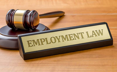 Equine Apprenticeship Myths - BUSTED! Employment Law