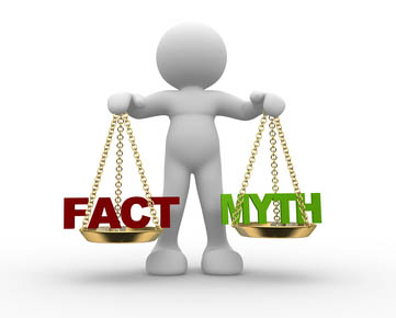 Equine Apprenticeship Myths - BUSTED! Facts and Myths