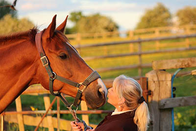 Equine Apprenticeship Myths - BUSTED! Linda Hudson of Equic8 Equine