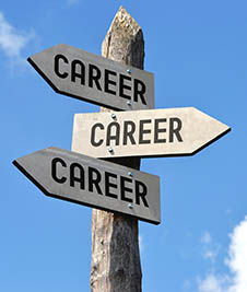 Eventing Grooms and Eventing Groom Jobs - A career in Eventing