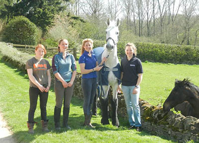Eventing Grooms and Eventing Groom Jobs - Team Spirit