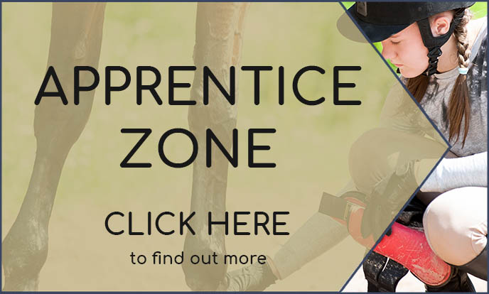 Apprentice Zone on The Grooms List