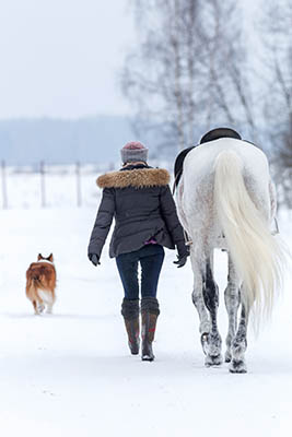 Getting winter ready in the equine industry - Warm Clothing