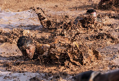 Getting winter ready in the equine industry - lots of mud!