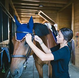 The Grooms List Apprentices Zone - How an Apprenticeship can Benefit Your Child 1