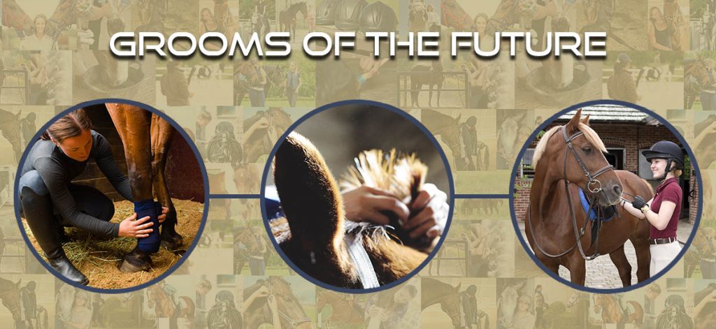The Grooms List Apprentices Zone - How an Apprenticeship can Benefit Your Equine Career