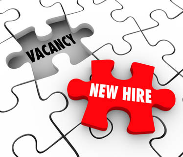 The Grooms List Apprenticeship Zone - Step by Step Guide to Employing an Apprentice Groom