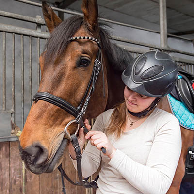 The Grooms List Apprenticeships Zone - How an Apprentice can Benefit Your Yard 2