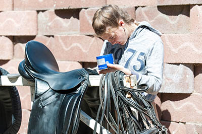 The Grooms List Apprenticeships Zone - How an Apprentice can Benefit Your Yard 3