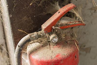 Top tips for grooms caring for horses through the firework period - Preparations