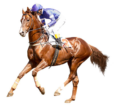 Work Riders and Work Rider Job Vacancies - Stamina