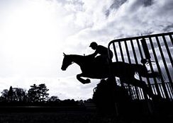 Work Riders and Work Rider Job Vacancies - experience