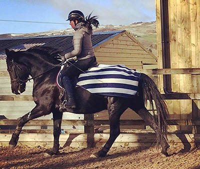 Keeping Your Equine Athletes Warm - Hannah Doggett - Working in an exercise sheet