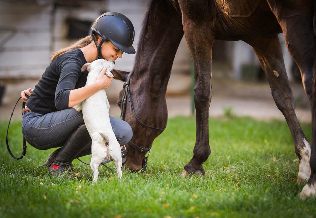 Yard Dog Etiquette - taking a dog to work