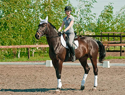 Get into Dressage to Music by Alanna Clarke - Riding your routine
