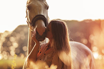 Is the Equestrian Industry getting tougher - A Grooms perspective - Be realistic