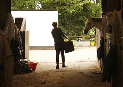 Is the Equestrian Industry getting tougher - A Grooms perspective - Do employers expect too much
