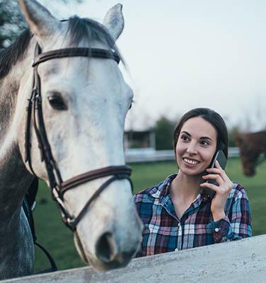 Is the Equestrian Industry getting tougher - A Grooms perspective - always on the phone