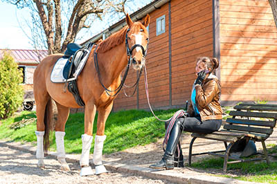 Is the Equestrian Industry getting tougher - A Grooms perspective - are grooms becoming lazy