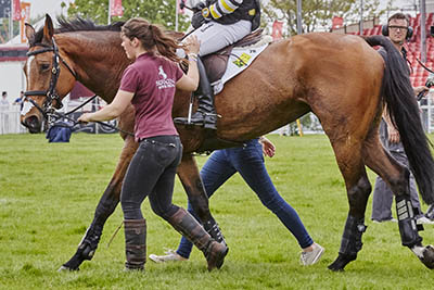 Is the Equestrian Industry getting tougher - A Grooms perspective - the FEI Grooms Awards