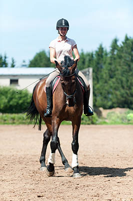 5 reasons why Apprentice Grooms are always winning - Guarantee Riding